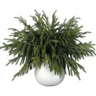 Galhos de Natal artificiais FOTEEWL Norfolk Pine x32