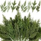 Galhos de pinheiro artificiais Kunjocy, 40 peças, verdes