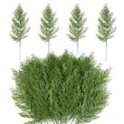 Galhos de pinho artificiais Hananona, 40 unidades, 35 cm, verdes