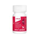 Galliprant 60 mg Elanco para Cães - 7 Comprimidos