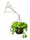 Gancho/suporte tipo a para plantas grande dourado/cobre 3 unidades
