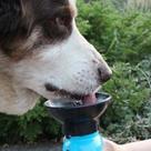 Garrafa Bebedouro Água Portátil Pet Aqua Dog