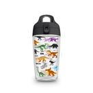 Garrafa de Agua 360 ml Dino Friends