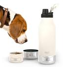 Garrafa de água asobu Dog Buddy em aço inoxidável 1L com tigela