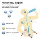 Garrafa De Agua Hidrogênio Copo Molecular Hidrogenada