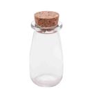 Garrafa de Vidro Borossilicato c/ Rolha 100 ml Lyor