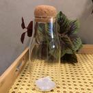 Garrafa Em Vidro Lisa Com Tampa 300ml Home Design - Un