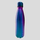 Garrafa Térmica Esportiva Hoyle Aço Inoxidável 500ml Furtacor