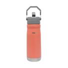 Garrafa Térmica Essential Aço Inox 650ml Squeeze Esportiva