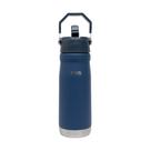 Garrafa Térmica Essential Aço Inox 650ml Squeeze Esportiva
