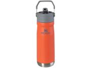 Garrafa Térmica Stanley 650ml Flip Straw Guava