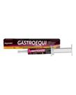 Gastro Equi Pasta - 34 ml