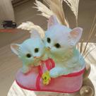 Gatinhos Cofre no Sapato de Gesso Charmosos, decorativo e Educativo, nas Cores Azul e Rosa