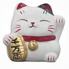 Gato da Sorte Porcelana Decorativa Maneki Neko Boa Fortuna 901 Gato da Sorte Porcelana Decorativa Maneki Neko Boa Fortuna 901