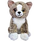 Gato de Pelúcia Com Brilho Gatinho Fofo Presente Criança Gato de Pelúcia Com Brilho Gatinho Fofo Presente Criança