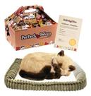 Gato de Pelúcia Perfect Petz - Respira Siamês com Pilha Inclusa