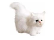 Gato Realista Gatinho Pelucia Branco Lindinho