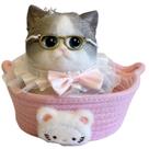 Gato Squishy Gigante Big Taba - Brinquedo Kawaii Jumbo de 15 cm para Alívio do Estresse com Cesta de Tricô e Óculos Removíveis (Branco e Cinza)