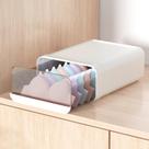 Gaveta organizadora de roupa íntima Miaocona Plastic 1 Cell White