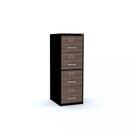Gaveteiro Arquivo 4 Gavetas Maxxi Preto/Walnut