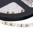 Gaya Fita Led 12w 3000k 12v Super Brilho 2835 5 Mt 5646