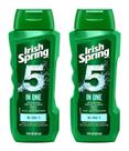 Gel de Ducha Irish Spring 5 en 1 con Champú y Acondicionador 532 ml Pack de 2