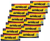 GEL DE MASSAGEM COM SEBO DE CARNEIRO ARNICOL 150gr DEMAZON KIT COM 12 UND GEL DE MASSAGEM COM SEBO DE CARNEIRO ARNICOL 150gr DEMAZON KIT COM 12 UND