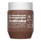 Gel Desodorante Massagem Andiroba 240g Bio Instinto