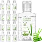 Gel Hidratante para la Piel Dansib Aloe Vera 12 Pack de 30 ml