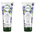 Gel modelador de cabelo Herbal Essences Totally Twisted 180 ml, pacote com 2