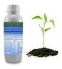 Gel para Plantio 3kg Florestais - Hidroterragel