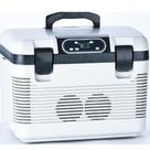 Geladeira Portátil Yeet Mini Cooler 19L Refrigerador Compacto Aquece e Resfria 12V e 220V