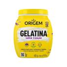 Gelatina Capilar Origem Super Fixação 400g Gelatina Capilar Origem Super Fixação 400g
