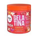 Gelatina Capilar Salon Line Xerosa Glamour Chic 500g Gelatina Capilar Salon Line Xerosa Glamour Chic 500g