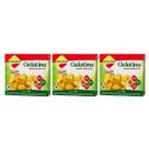 Gelatina Diet Plus Maracujá Com Stevia 10g Lowçucar Kit 3 Sobremesa Zero Açúcar Preparo Prático Gelatina Diet Plus Maracujá Com Stevia 10g Lowçucar Kit 3 Sobremesa Zero Açúcar Preparo Prático