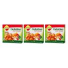 Gelatina Diet Plus Tangerina Com Stevia 10g Lowçucar Kit 3 Sobremesa Zero Açúcar Preparo Prático