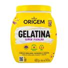 Gelatina Nazca Origem Super Fixação 400g Gelatina Nazca Origem Super Fixação 400g