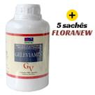 Geleviamin Anew (Geléia Real Liofilizada) 300 Caps
