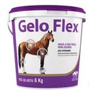 Gelo Flex Balde 6kg Ideal Fest Gelo Flex Balde 6kg Ideal Fest