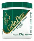 Gelo Pan Pote 450g Vetnil Pancadas Dor Muscular Em Equinos