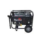 Gerador de energia 5,5 kva a gasolina bivolt partida elétrica - TG6500CXE-XP (110V/220V) Gerador de energia 5,5 kva a gasolina bivolt partida elétrica - TG6500CXE-XP (110V/220V)