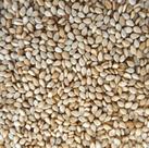 Gergelim Natural Com Casca 250g
