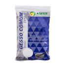 Gesso Comum Tipo II Branco (1kg) - Asfer