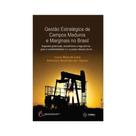Gestão estratégica de campos maduros e marginais no brasil: aspectos gerenciais, econômicos e regula