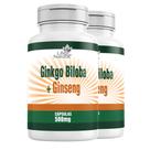 Ginkco Biloba Premium 120 Capsulas ginco 100% Puro original Foco Concentração