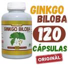 Ginkgo Biloba 500 mg 120 caps extrato seco 100% puro original