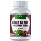 Ginkgo Biloba Castanha 100 Cápsulas 500mg