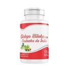 Ginkgo Biloba Castanha 120 Cápsulas 500 mg