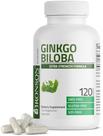 Ginkgobiloba Rei Da terra 500 mg com 120m capsulas