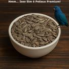 Girassol Miúdo 1Kg Alimentação Nutrição Proteínas Fibras Vitaminas Animais Pássaros Sabor Dieta Girassol Miúdo 1Kg Alimentação Nutrição Proteínas Fibras Vitaminas Animais Pássaros Sabor Dieta